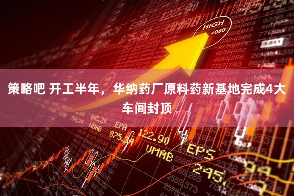策略吧 开工半年，华纳药厂原料药新基地完成4大车间封顶