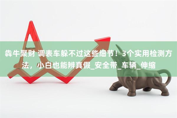 犇牛聚财 调表车躲不过这些细节！3个实用检测方法，小白也能辨真假_安全带_车辆_伸缩