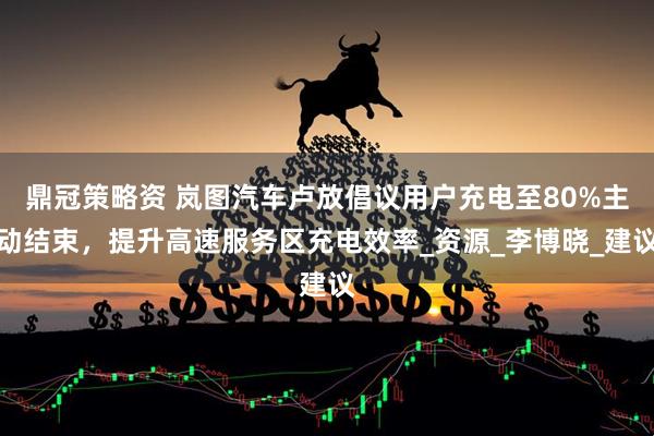 鼎冠策略资 岚图汽车卢放倡议用户充电至80%主动结束，提升高速服务区充电效率_资源_李博晓_建议