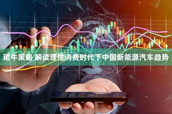 珺牛策略 解读理性消费时代下中国新能源汽车趋势