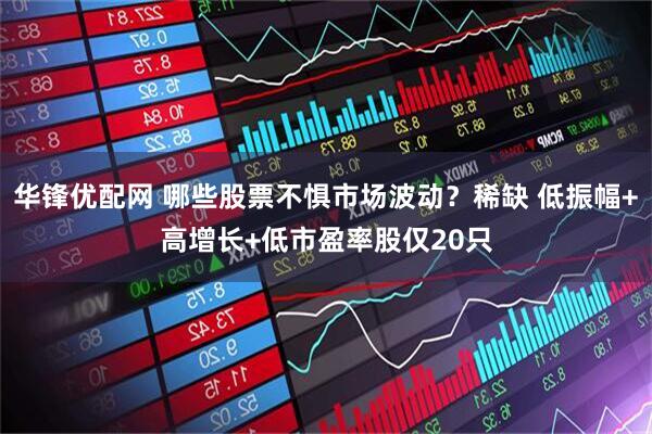 华锋优配网 哪些股票不惧市场波动？稀缺 低振幅+高增长+低市盈率股仅20只