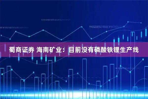 蜀商证券 海南矿业:目前没有磷酸铁锂生产线