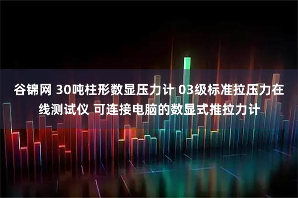 谷锦网 30吨柱形数显压力计 03级标准拉压力在线测试仪 可连接电脑的数显式推拉力计