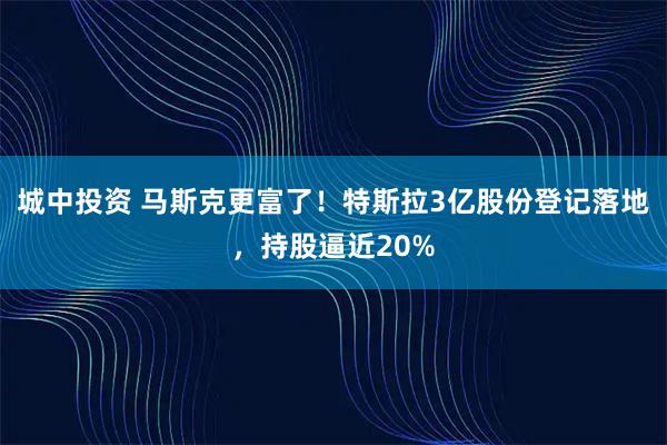 城中投资 马斯克更富了！特斯拉3亿股份登记落地，持股逼近20%